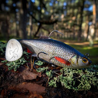 Westin Ricky The Roach Shadtail R2F Lures